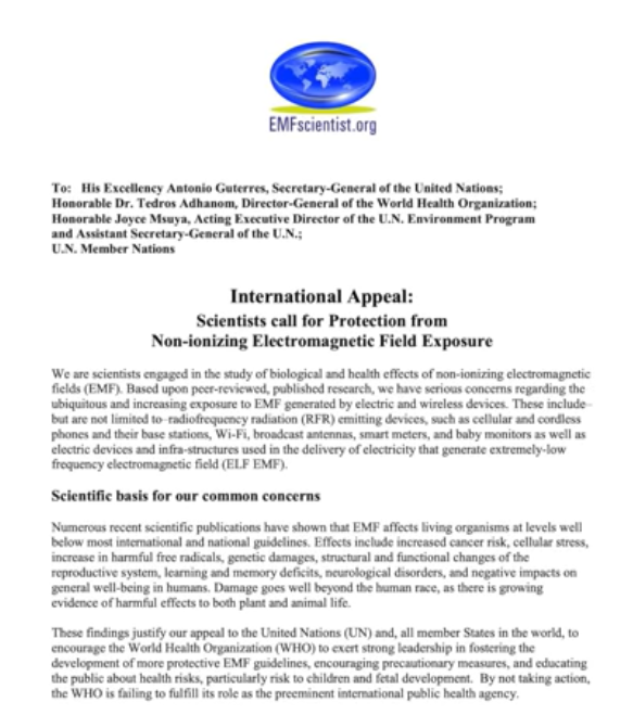 무선 이어폰 전자파 기사