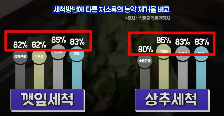 농약 제거 방법