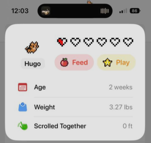 다이나믹 아일랜드
