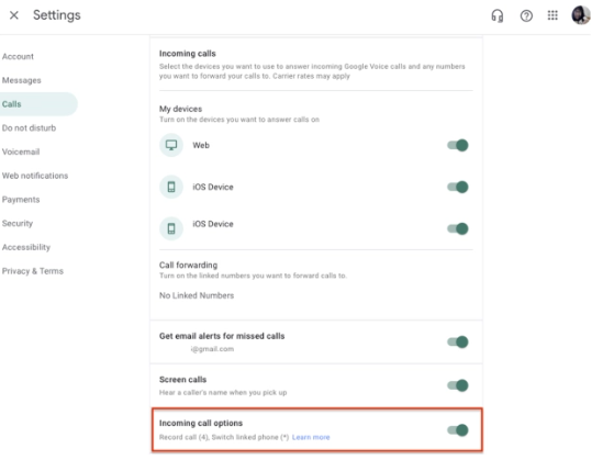 구글 보이스 수신통화 옵션 확인